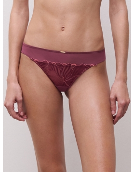 Stringai CHANTELLE C15YG0